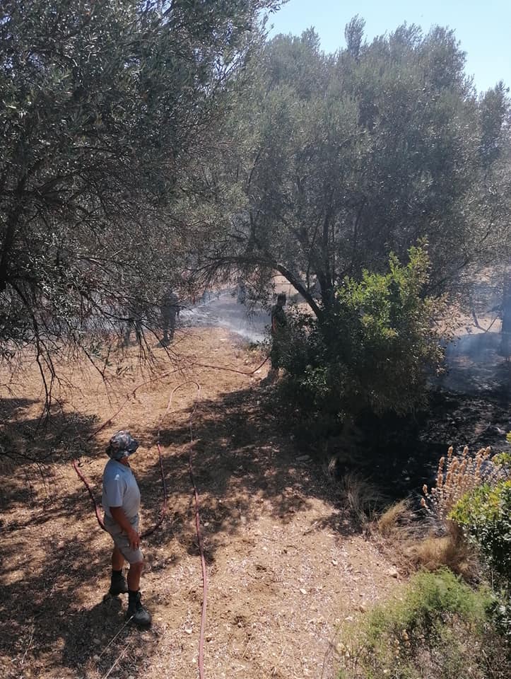 Τρία στρέμματα με γεωργικές καλλιέργειες έκαψε η φωτιά στα Νένητα